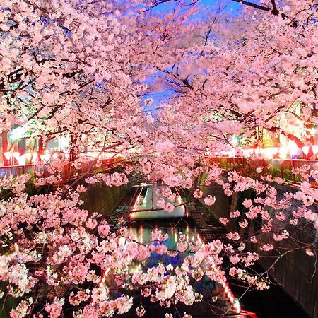 Coto Tokyo Shibuya Lägenhet Exteriör bild