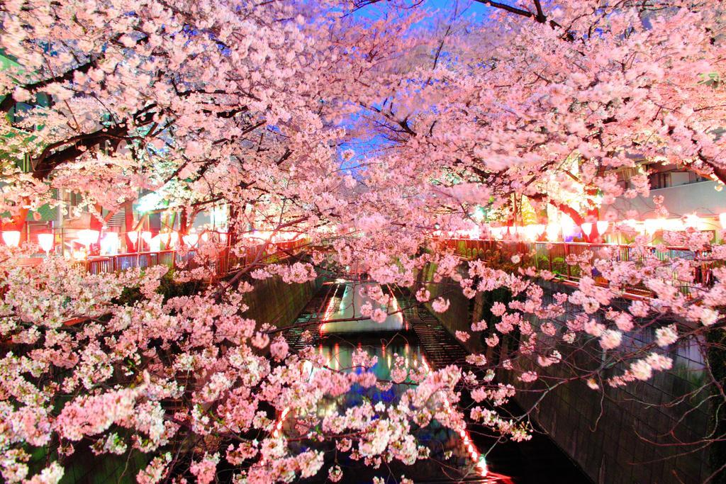 Coto Tokyo Shibuya Lägenhet Exteriör bild