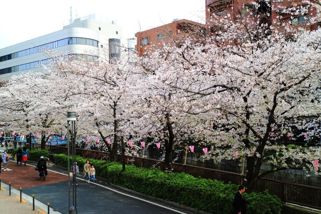 Coto Tokyo Shibuya Lägenhet Exteriör bild